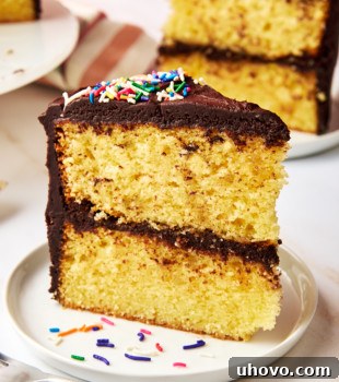 A tempting slice of yellow cake with chocolate frosting prominently displayed on a white plate, with the remainder of the cake in the soft background.