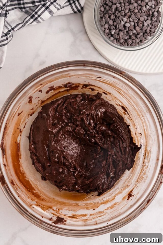 An overhead view of the completed salted chocolate truffle cookie dough, smooth and rich, resting in a glass mixing bowl, briefly chilling in the refrigerator.