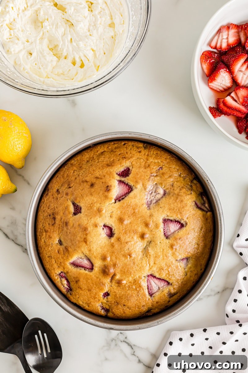 The golden-brown Lemon-Strawberry Shortcake cake, fresh from the oven, still in its round baking pan.
