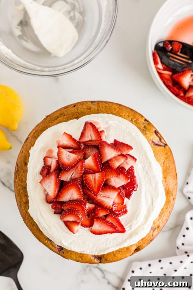 Overhead view of the fully assembled Lemon-Strawberry Shortcake Cake, with whipped cream and beautifully arranged fresh strawberries.