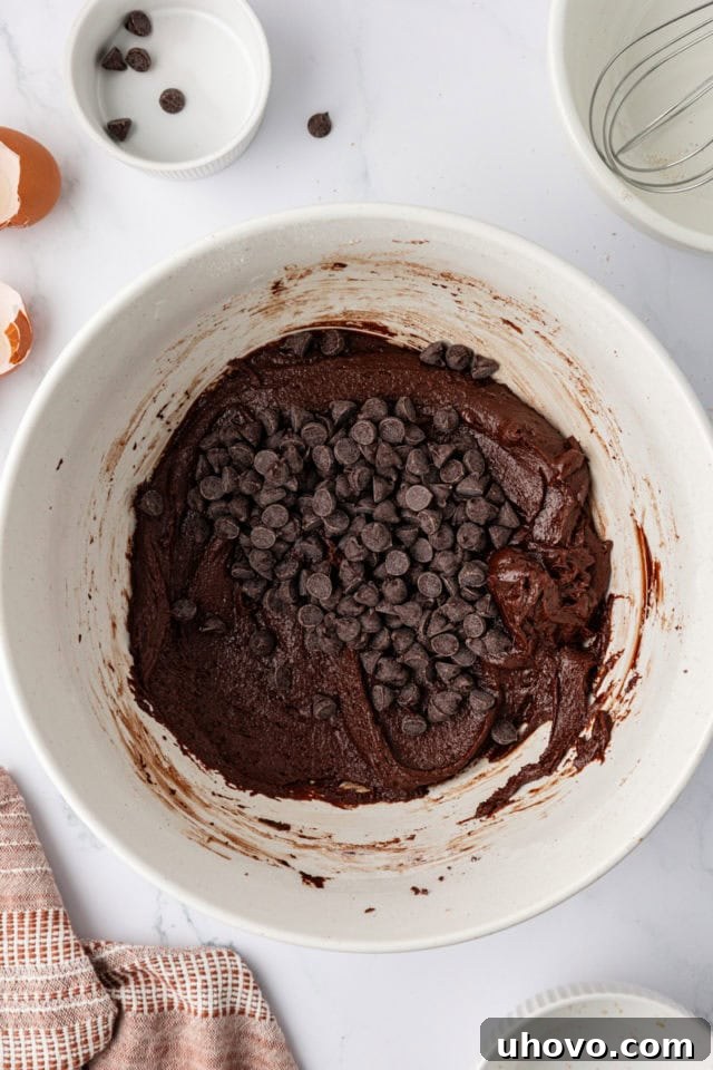 Chocolate chips added to bowl of cookie dough