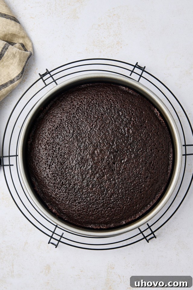 Overhead view of a freshly baked Guinness chocolate cake still in its round pan, resting on a wire rack.