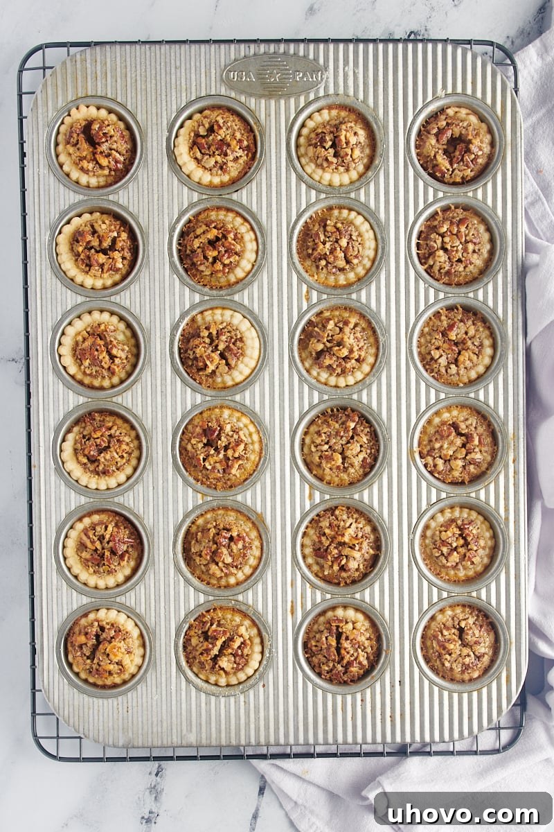 A mini muffin tin, fresh out of the oven, showcasing perfectly baked, golden-brown mini pecan pies with bubbling, set fillings.