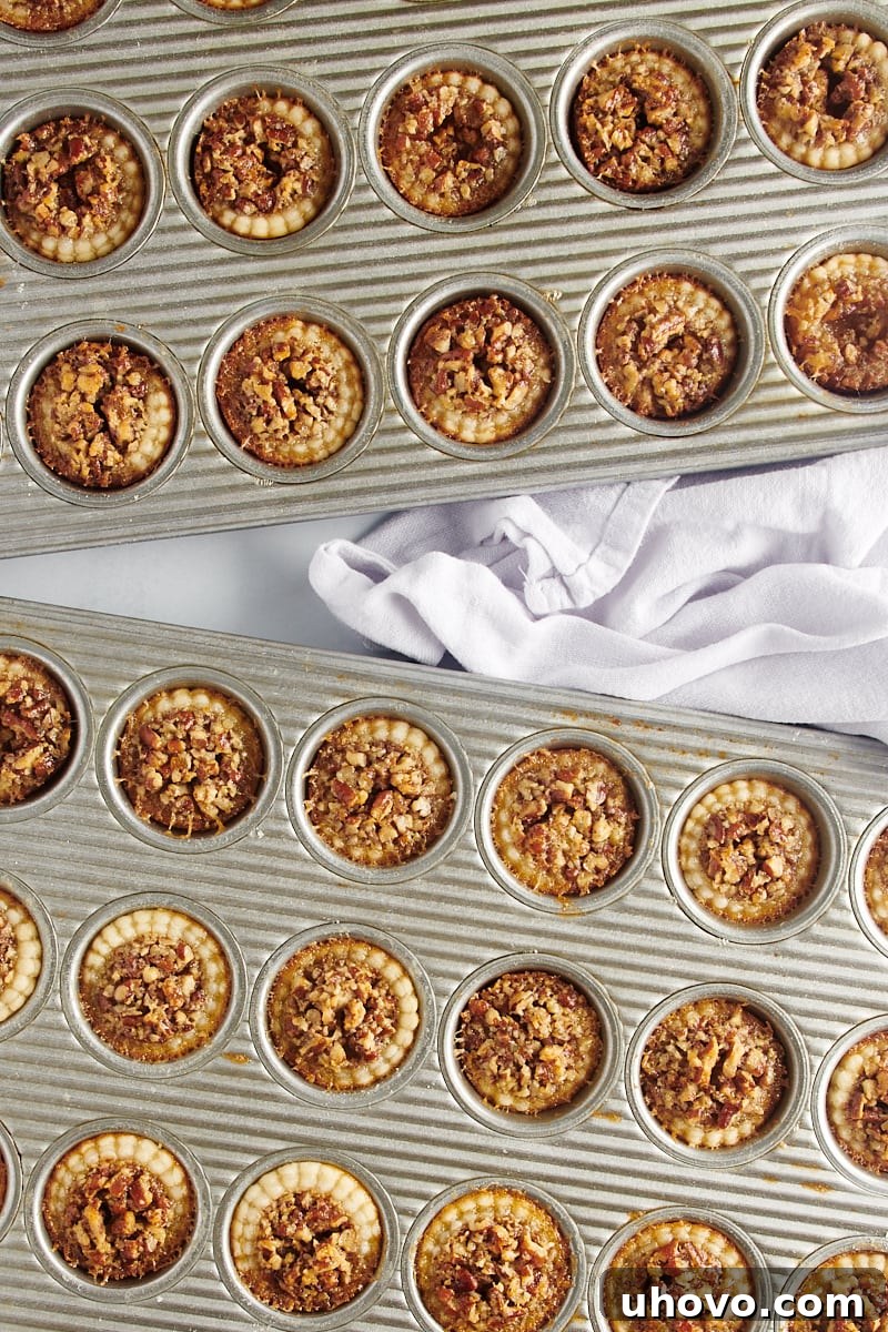 Two trays filled with golden-brown mini pecan pies, fresh out of the oven and looking perfectly baked.