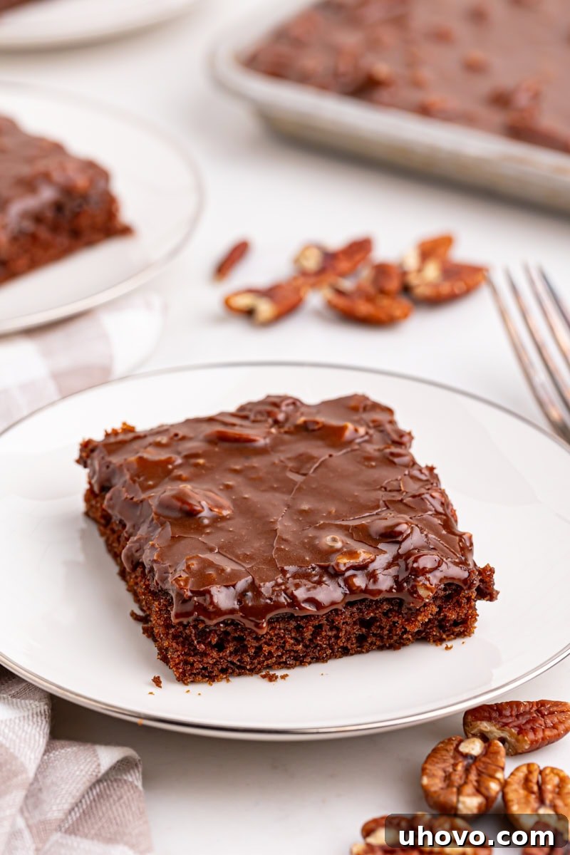 A perfectly sliced piece of Texas Sheet Cake with fudgy pecan frosting on a white plate, with more cake visible in the background.