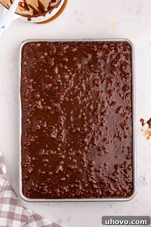 Freshly baked Texas sheet cake in a rectangular pan, with the warm, fudgy frosting being spread evenly over the entire surface.
