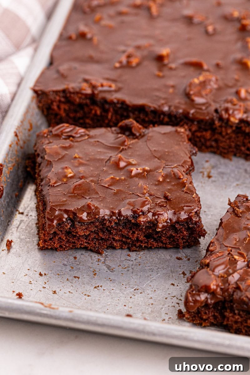 A large slice of Texas Sheet Cake with rich chocolate and pecan frosting, lifted from the pan with a spatula, ready to be served.