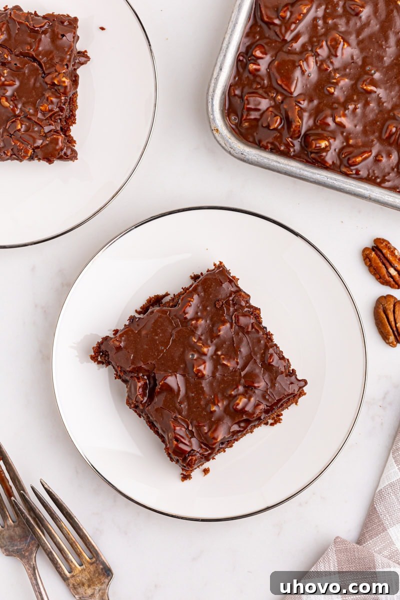 Overhead close-up view of a slice of Texas Sheet Cake on a white plate, with a fork, surrounded by the remaining cake in the baking pan.