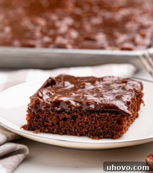 A slice of Texas Sheet Cake with its signature fudgy pecan frosting on a white plate, ready to be enjoyed.