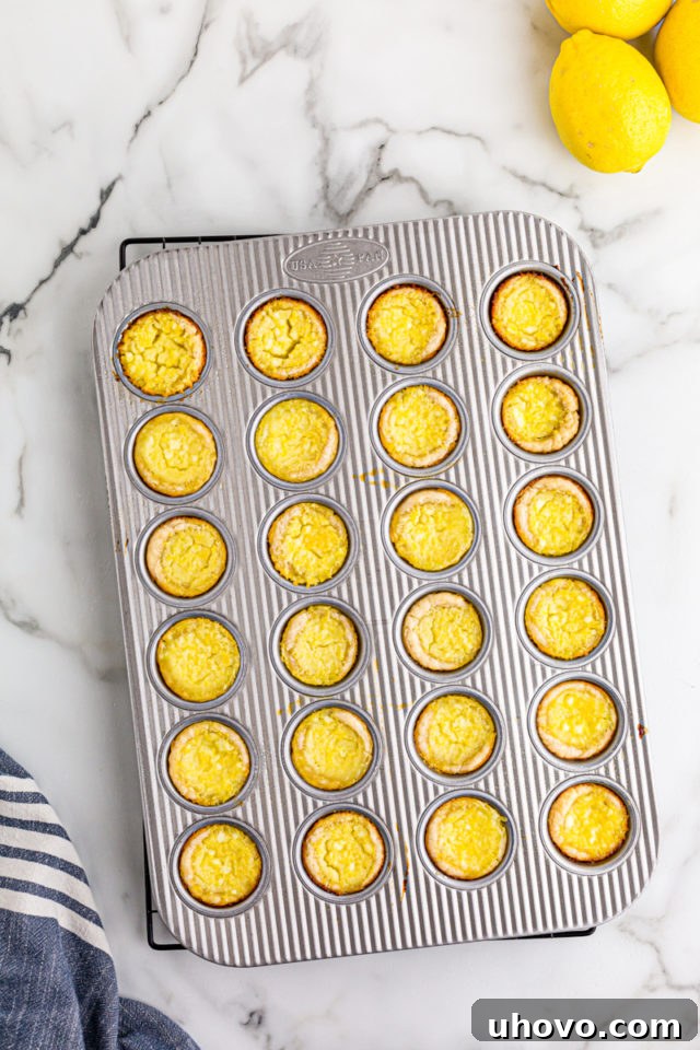 A mini muffin pan filled with golden-brown, freshly baked Lemon Chess Tartlets, cooling after being removed from the oven.