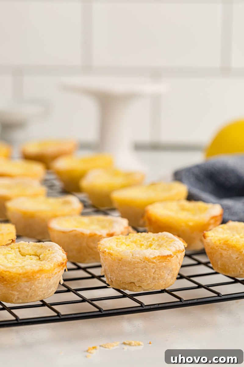 Numerous Lemon Chess Tartlets are arranged neatly on a wire rack, cooling to perfection, ready for serving.