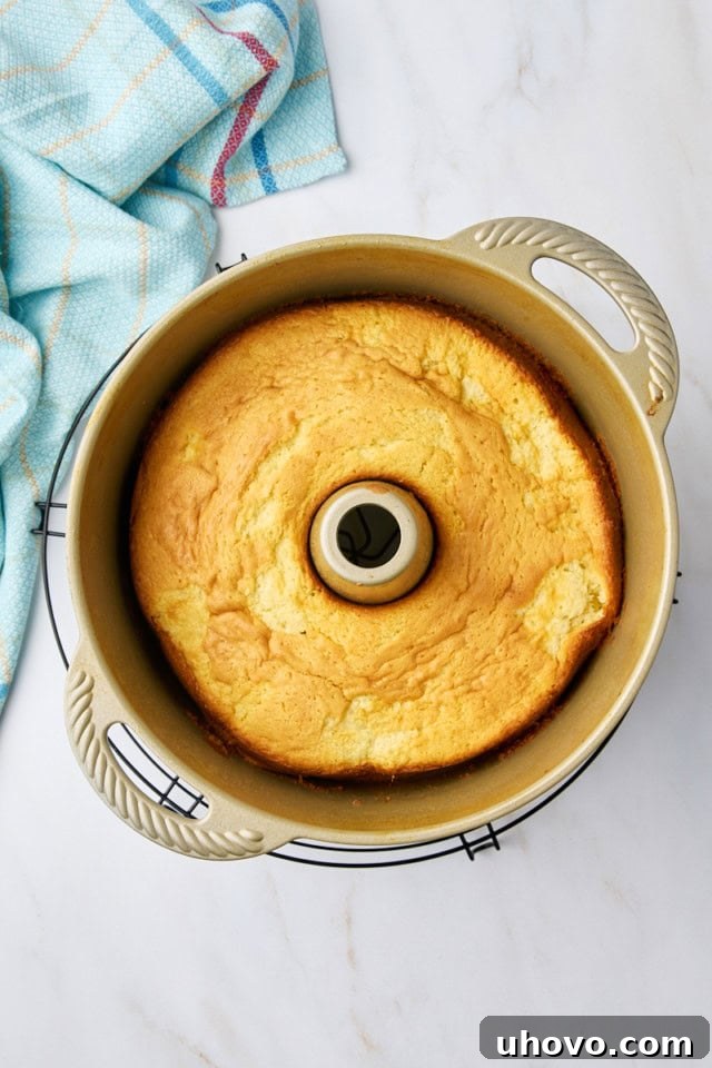 Overhead view of a freshly baked whipped cream cake in a tube pan, cooling on a wire rack.