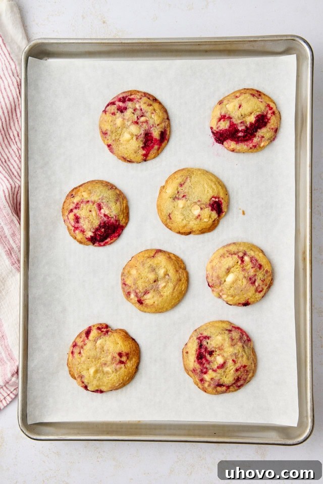 overhead view of freshly baked raspberry white chocolate cookies on a sheet pan