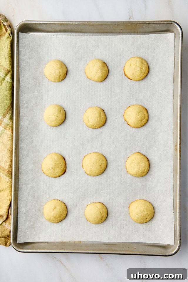 An overhead view of freshly baked lemon cooler cookies, perfectly golden at the edges, resting on a parchment-lined baking sheet directly from the oven.