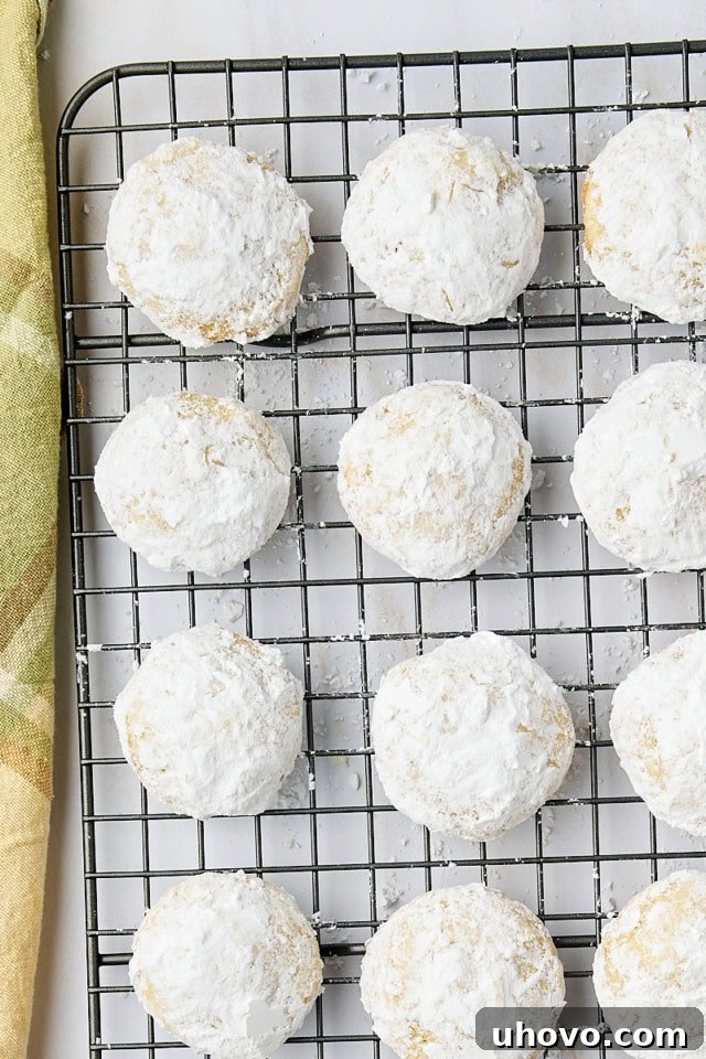 An array of perfectly double-coated lemon cooler cookies cooling on a wire rack, showcasing their signature powdery white finish.