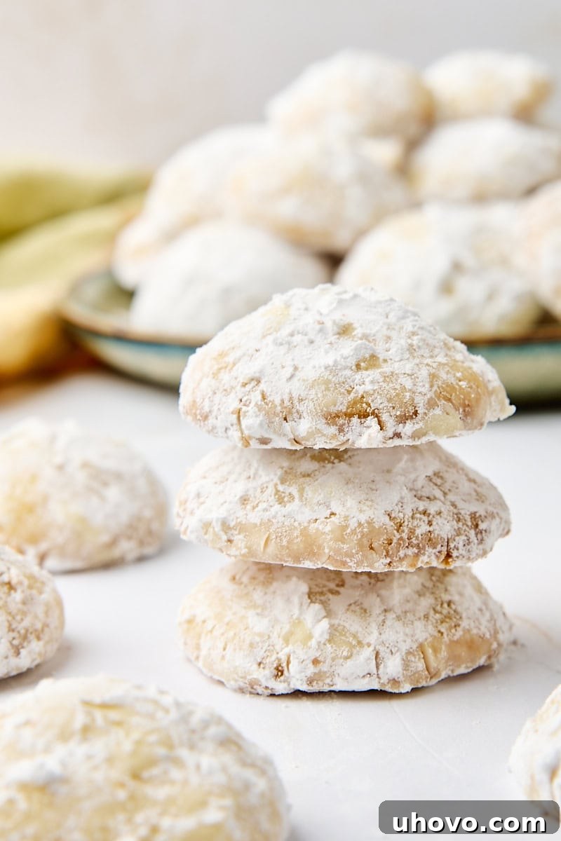 A captivating stack of three lemon cooler cookies, artfully surrounded by more delicious cookies in the background, highlighting their irresistible texture and powdered sugar finish.