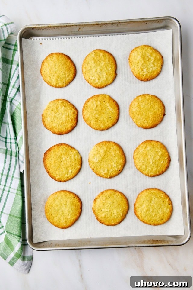 Overhead view of freshly baked coconut lime cookies, golden at the edges, cooling on a parchment-lined baking sheet.