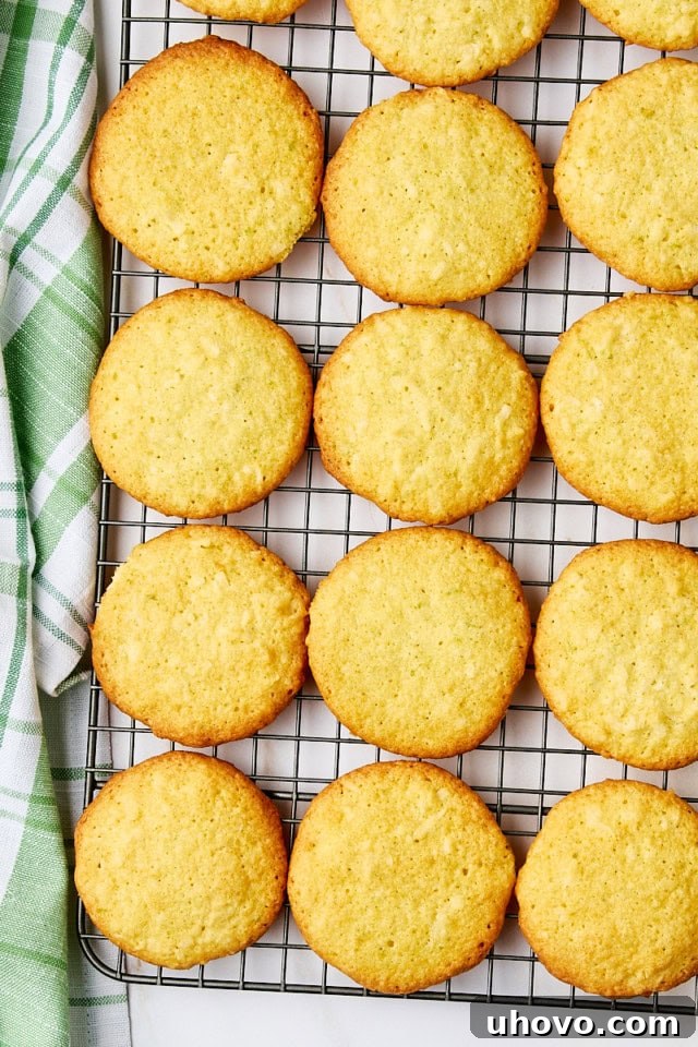Overhead view of baked coconut lime cookies neatly arranged on a wire rack to cool completely before glazing.