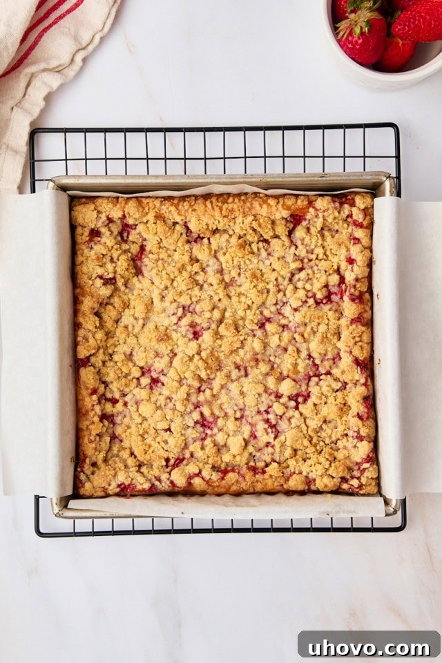 Freshly baked strawberry cheesecake bars in a square pan cooling on a wire rack, showing a golden crumb top and vibrant strawberry layer.