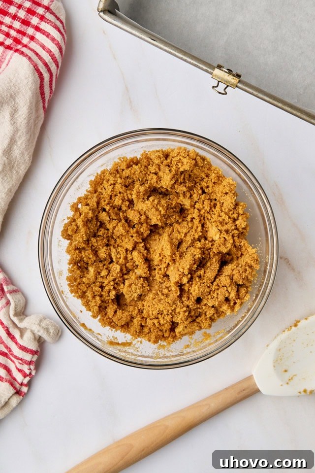 Overhead shot of the graham cracker crust mixture, now thoroughly moistened and ready to be pressed into the baking pan, showing a consistent texture.