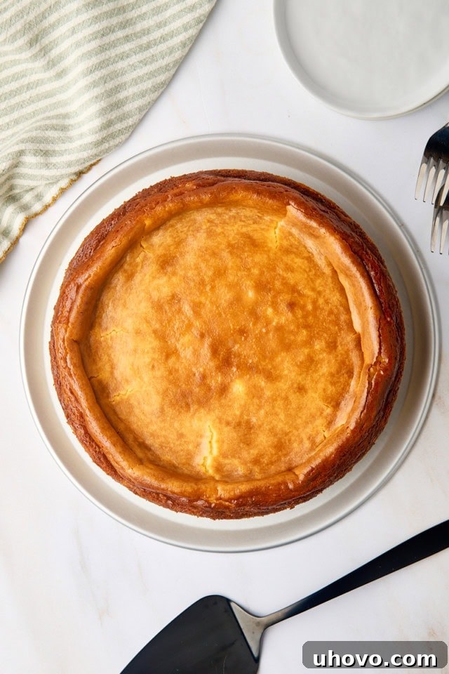 An overhead view captures a fully baked New York cheesecake resting on a minimalist metal cake stand, beautifully set and ready for its cooling process.