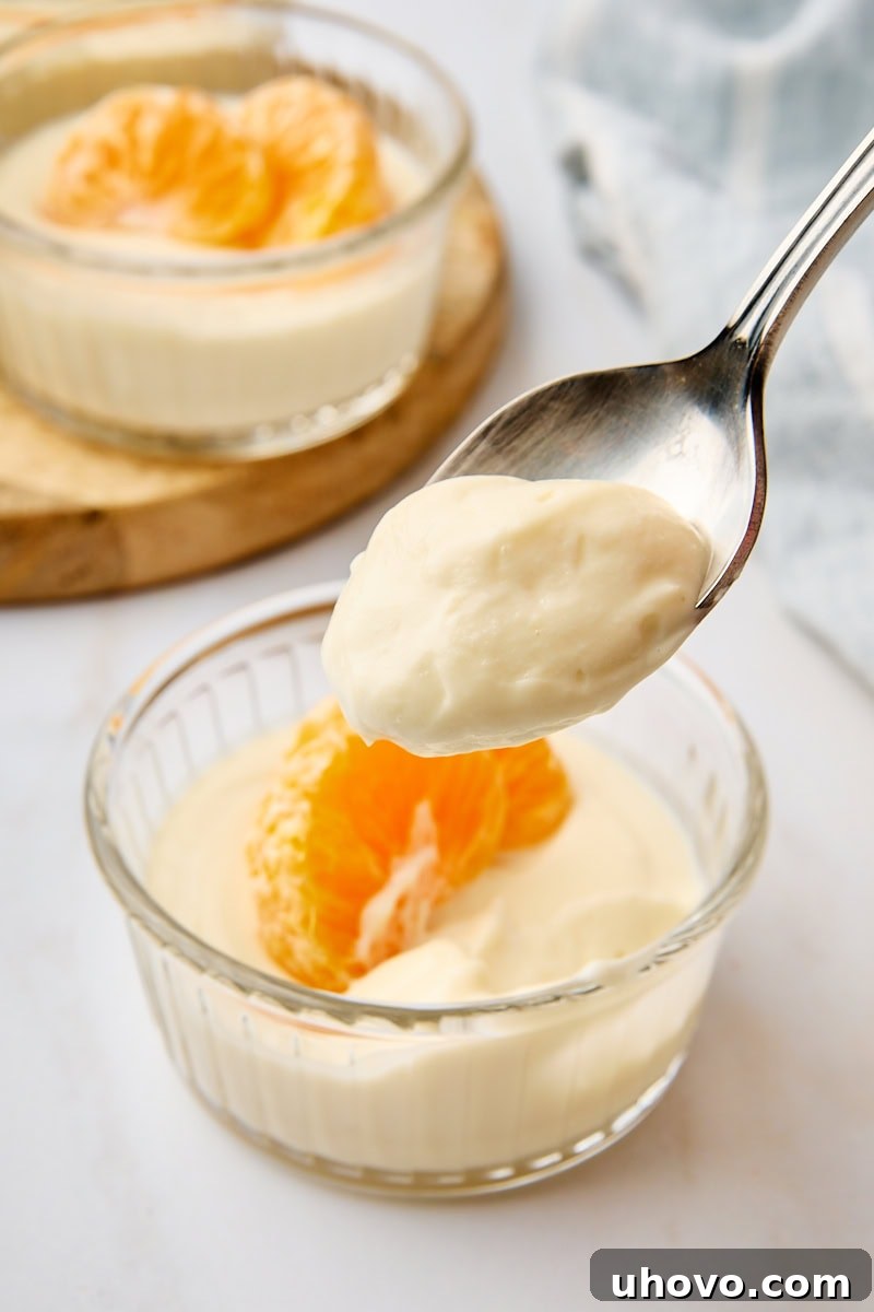 A close-up of a spoon holding a perfect bite of creamy ricotta mousse, with the remaining mousse elegantly presented in a glass ramekin in the background, highlighting its smooth texture.