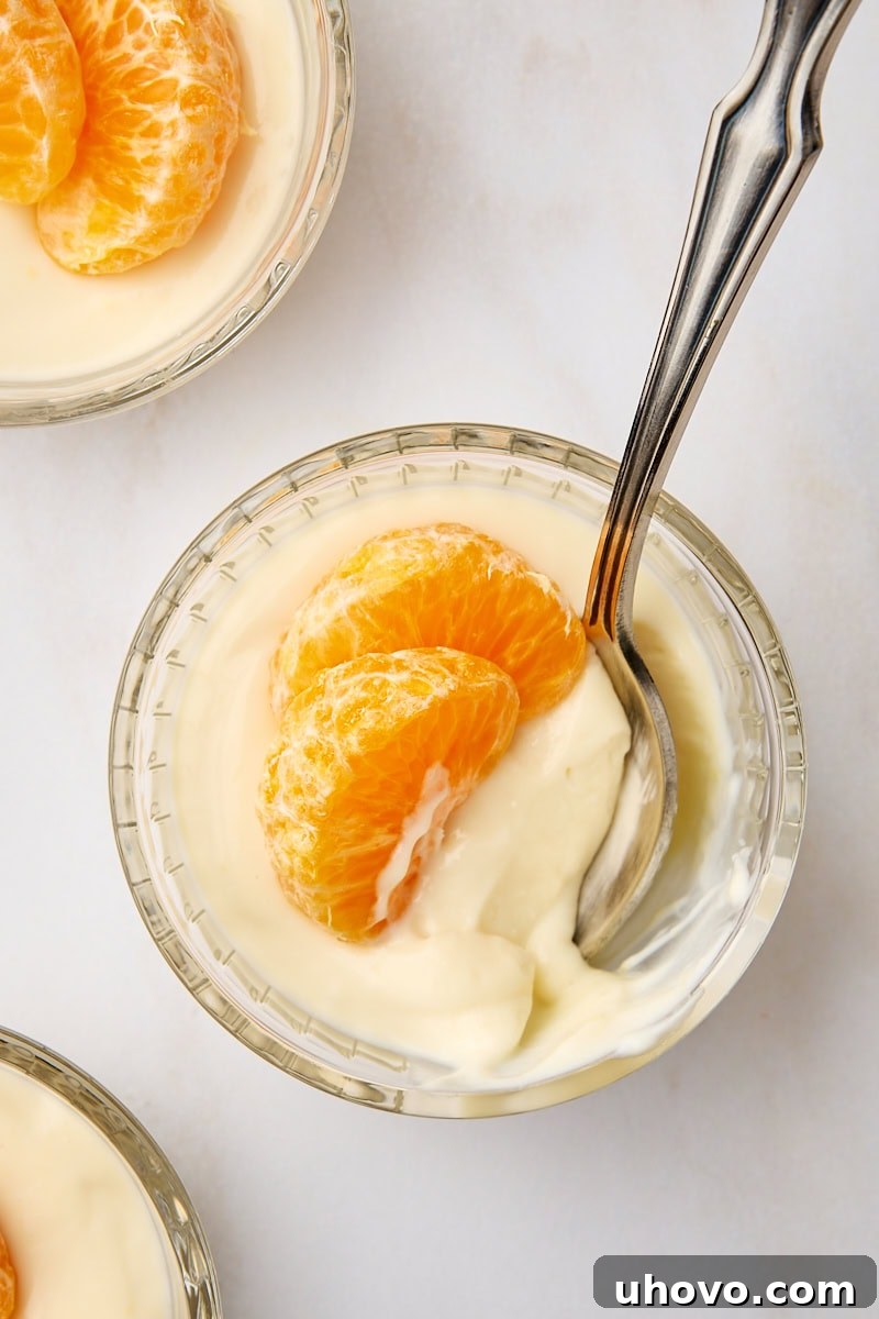 An inviting overhead view of a single serving of creamy ricotta mousse in a clear glass ramekin, with a spoon gently resting inside, ready to be enjoyed.