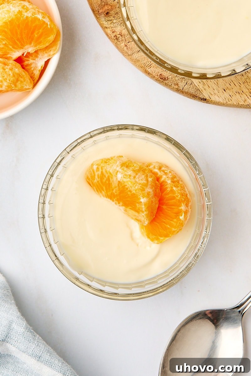 An overhead shot of a single serving of ricotta mousse, elegantly topped with two bright mandarin slices. Additional servings, loose mandarin slices, and a spoon are softly blurred in the background, creating a tempting scene.