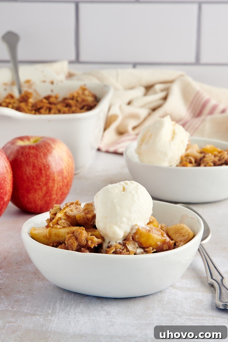 A side view of a single bowl of apple crisp topped with a scoop of melting vanilla ice cream, showing the golden-brown, crunchy oat topping and the bubbling apple filling.