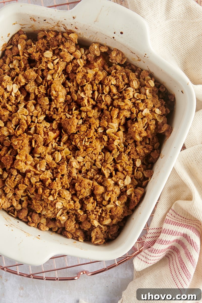 A pan of freshly baked apple crisp, hot out of the oven, with a golden-brown, bubbly top and edges.