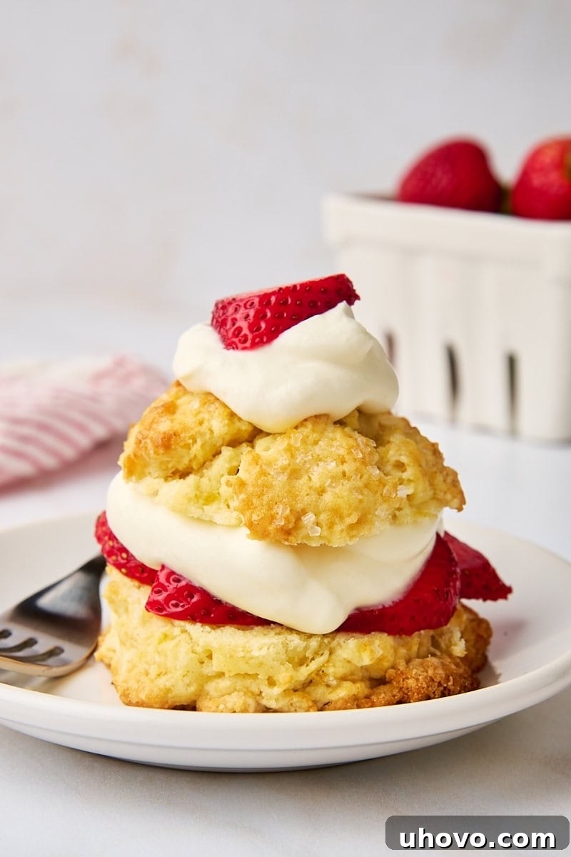 A single, perfectly arranged strawberry shortcake on a white plate, with a rustic white basket of fresh strawberries partially visible in the softly blurred background, emphasizing the fresh ingredients.