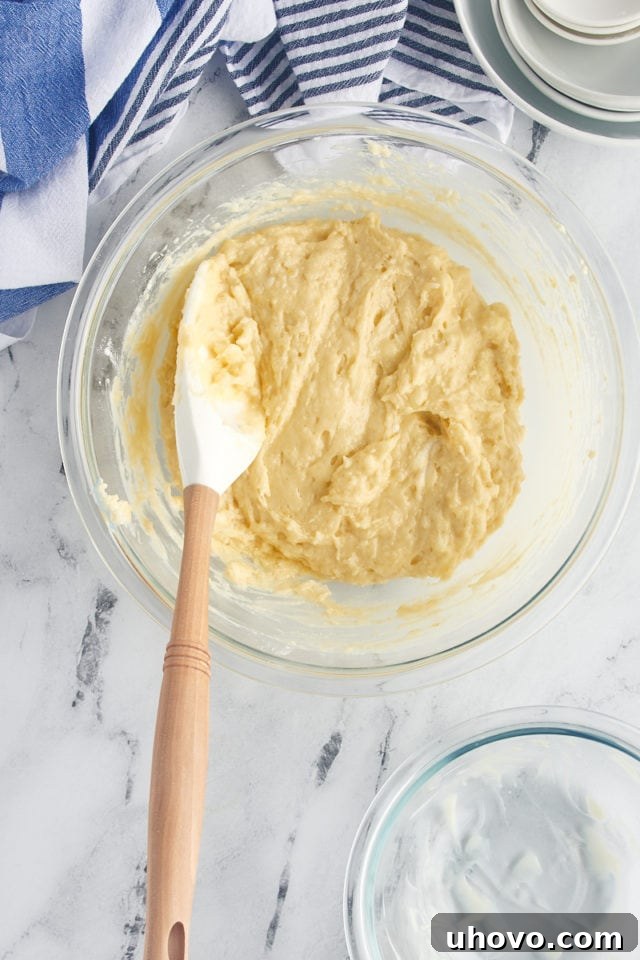 The finished cake batter, smooth and lightly mixed, showcasing its ideal consistency before being transferred to the pan.