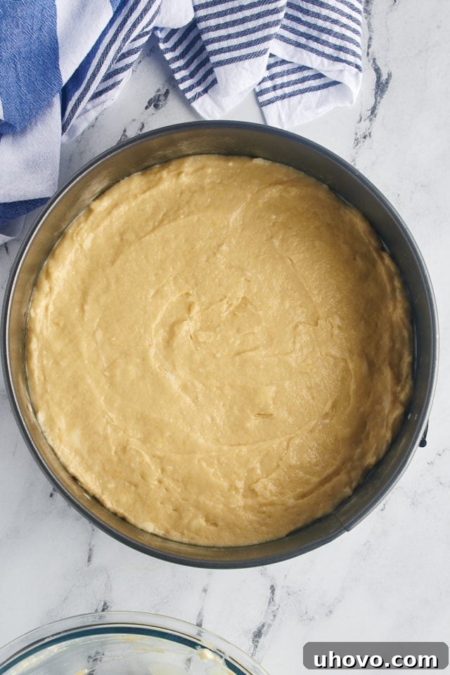 The cake batter evenly spread into the prepared 9- or 10-inch springform pan, ready for the delicious toppings.