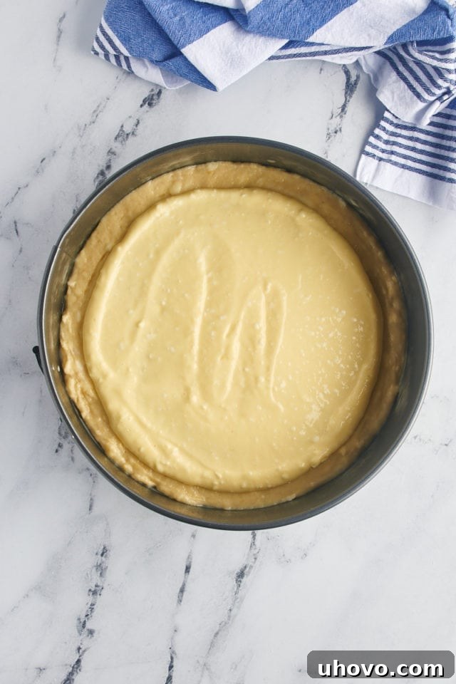 The smooth cream cheese topping spread evenly over the cake batter in the springform pan, leaving a slight border around the edges.