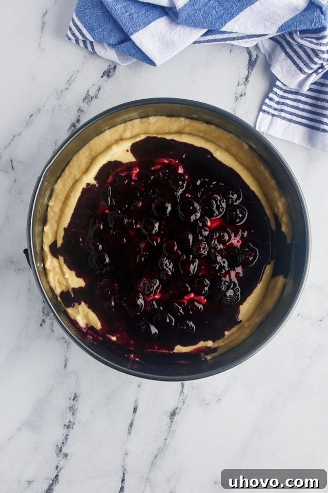 The cooled blueberry topping carefully spread over the cream cheese layer, maintaining a visible cream cheese border for an attractive finish.