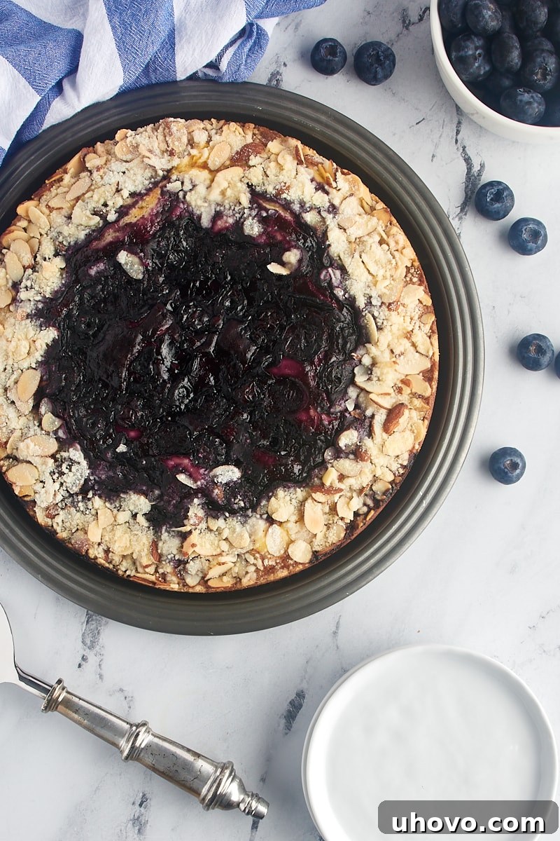 An inviting overhead view of a whole, freshly baked blueberry cream cheese coffee cake, showcasing its beautifully swirled layers of cream cheese, blueberry topping, and almond crumble.