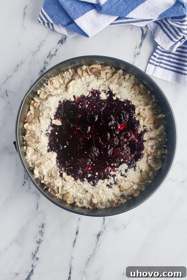 An overhead view of the unbaked blueberry cream cheese coffee cake, fully assembled with all its beautiful layers before going into the oven.