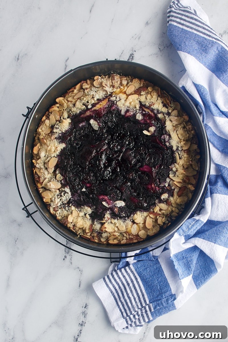 A freshly baked blueberry cream cheese coffee cake cooling on a wire rack, still in its springform pan, allowing air circulation for even cooling.