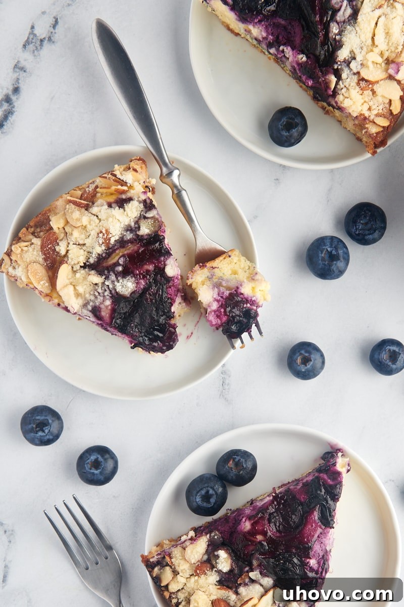 Three perfectly cut slices of blueberry cream cheese coffee cake arranged on white plates, showcasing the distinct layers of tender cake, creamy cheese, and juicy blueberries.