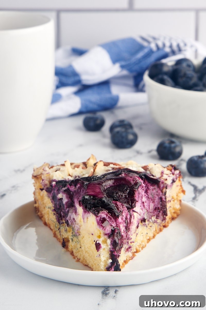 A single, delectable slice of blueberry cream cheese coffee cake on a white plate, with a scattering of fresh blueberries in the background, emphasizing its fresh ingredients.