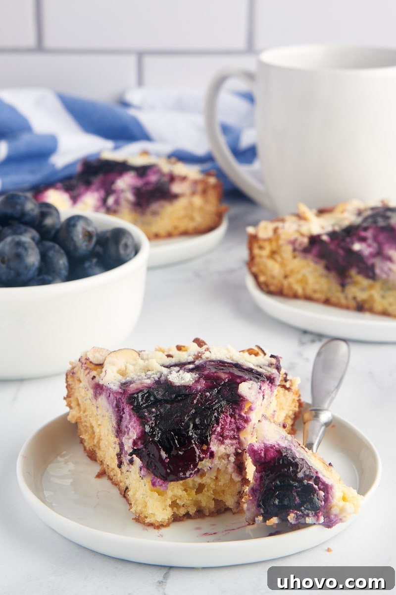 A close-up shot of a slice of blueberry cream cheese coffee cake on a plate, with a fork poised, inviting a taste of its moist cake, creamy filling, and fruit topping.