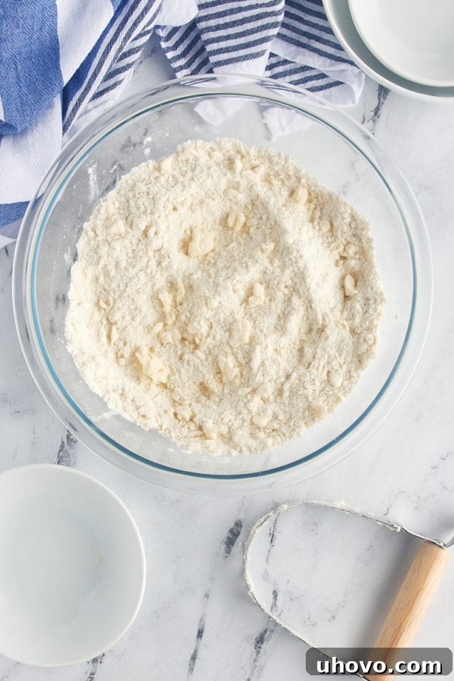The flour, sugar, and butter mixture after being blended, resembling coarse crumbs, with half a cup set aside for the topping.