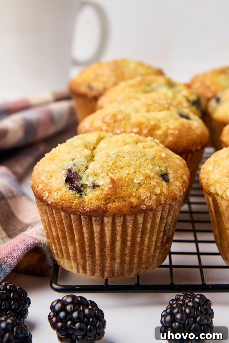 A freshly baked blackberry muffin on a wire rack, surrounded by more muffins, a white coffee mug, and fresh blackberries, highlighting its golden dome and sugary topping.