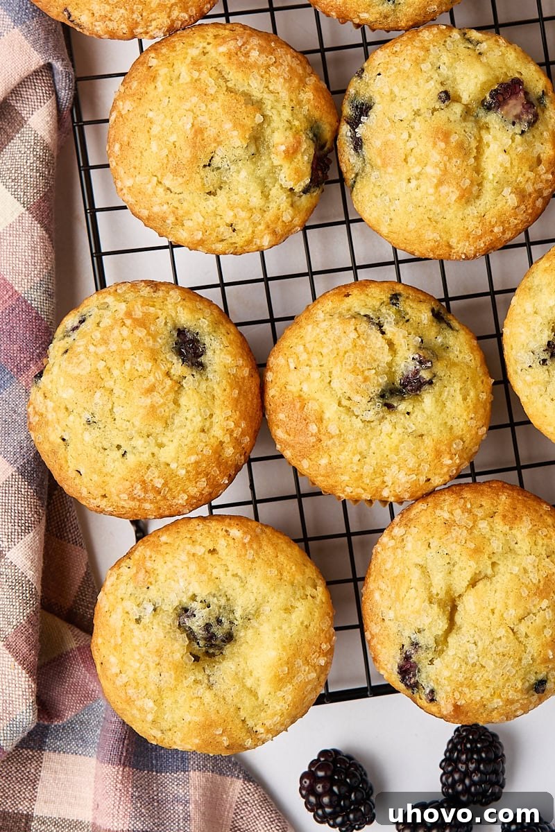 An overhead view of freshly baked blackberry muffins cooling on a wire rack, showcasing their golden tops and irresistible appeal.