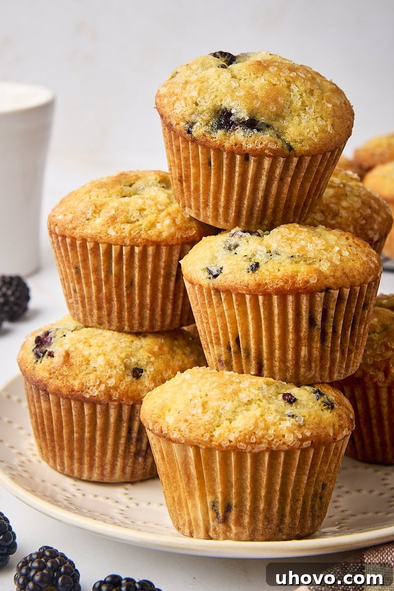 Blackberry muffins stacked neatly on a white plate, garnished with fresh blackberries around them, inviting a delicious bite.