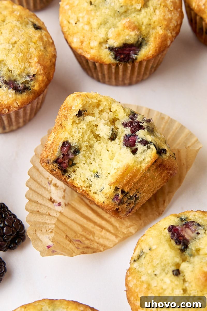 A perfectly baked blackberry muffin with a bite taken out, revealing its juicy berry-filled interior, surrounded by more muffins on a white surface.