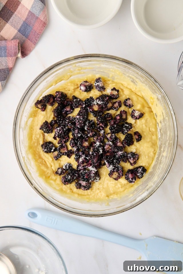 An overhead view of freshly chopped blackberries being gently folded into the muffin batter in a glass mixing bowl.