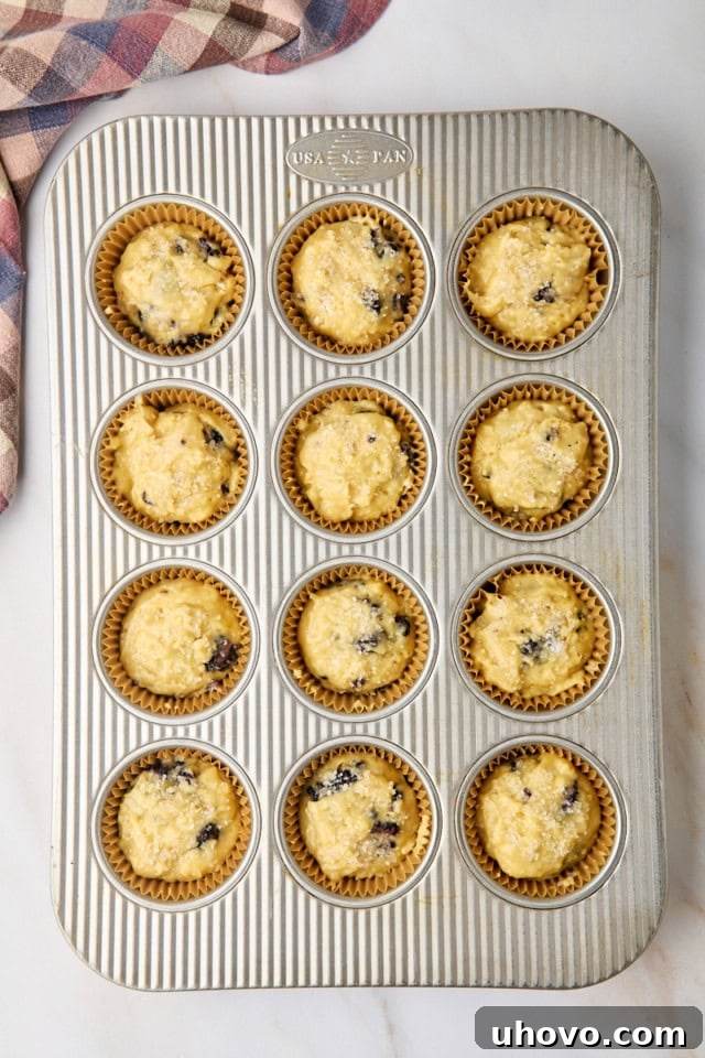 An overhead view of blackberry muffin batter scooped into a lined muffin pan, ready for baking, topped with coarse sugar.