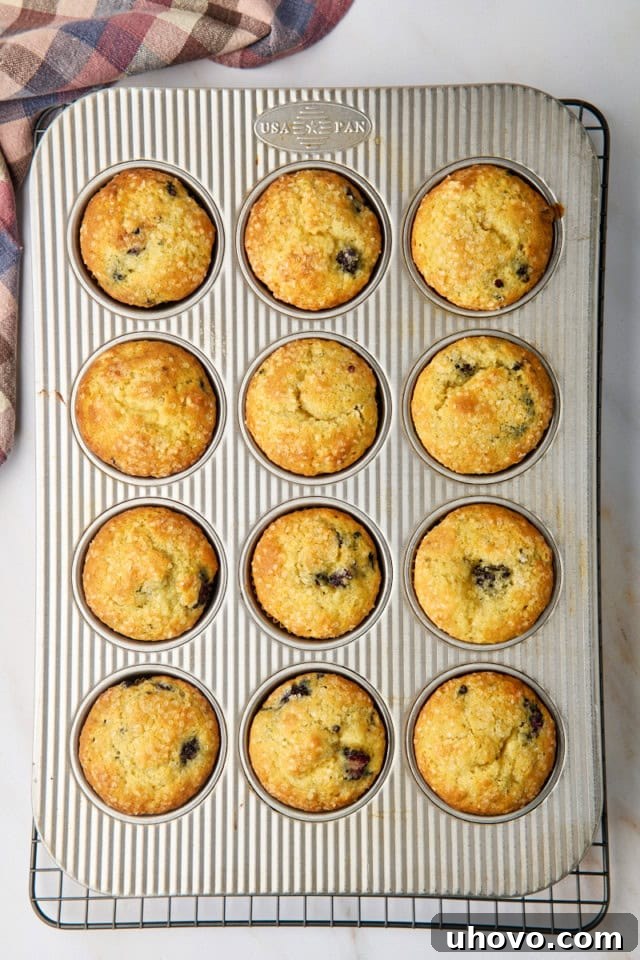 An overhead view of freshly baked blackberry muffins cooling in their pan on a wire rack, showcasing their golden-brown tops.