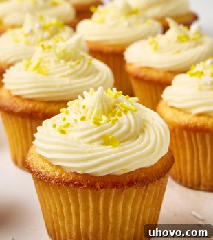 A mouthwatering spread of several lemon cupcakes on a white countertop, each frosted with creamy peaks.